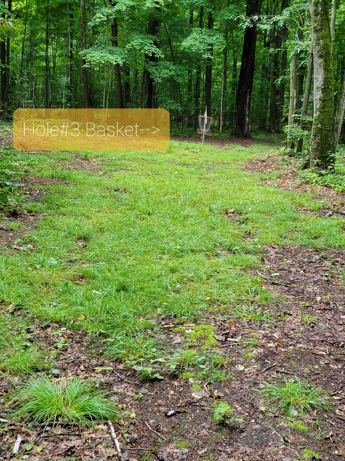 Hole 3 basket