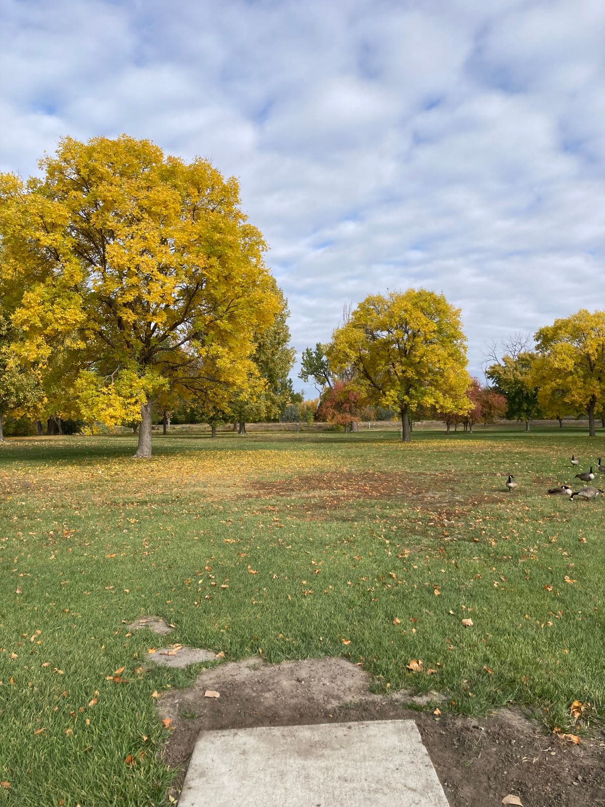 Tee 4