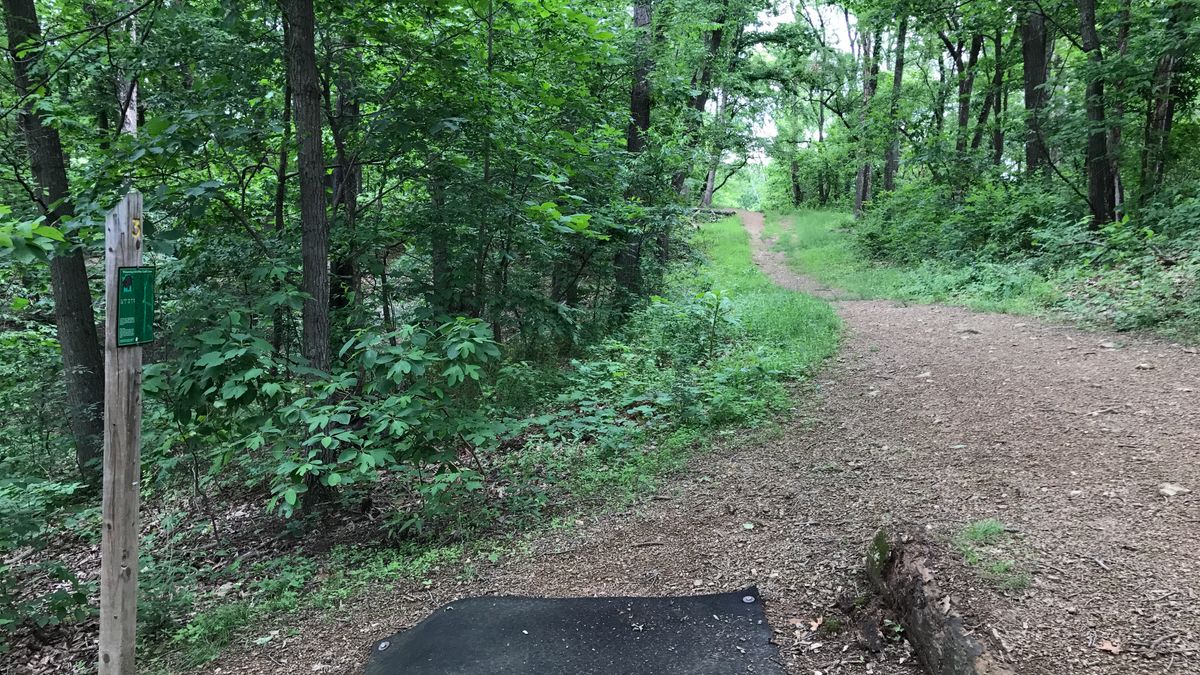 Hole 3