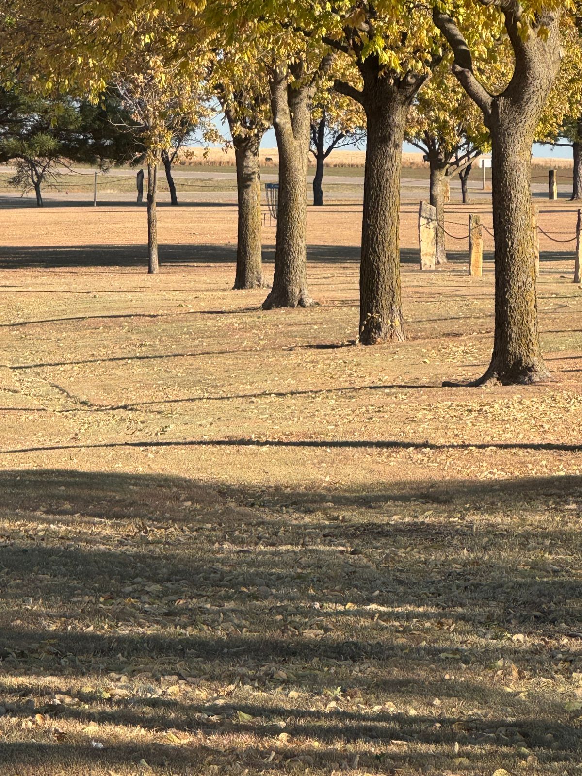 Hole 4