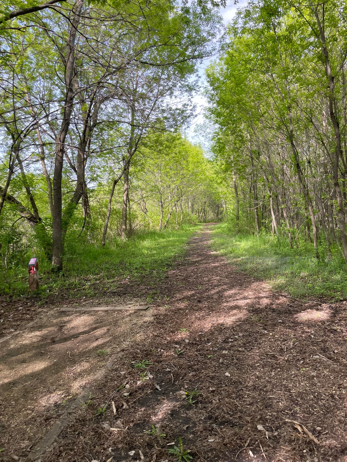 Hole 4 white tee, great tunnel path to right