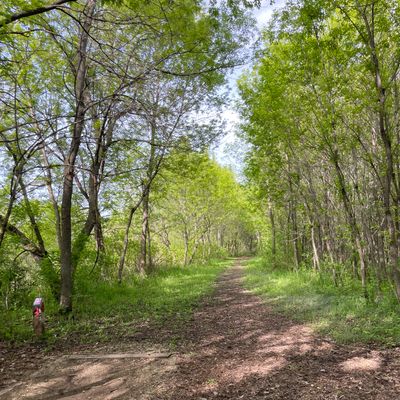Hole 4 white tee, great tunnel path to right