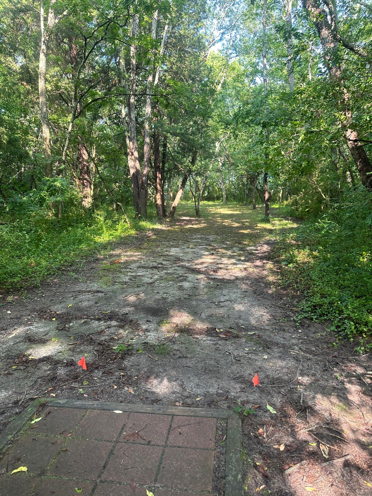 Hole 5