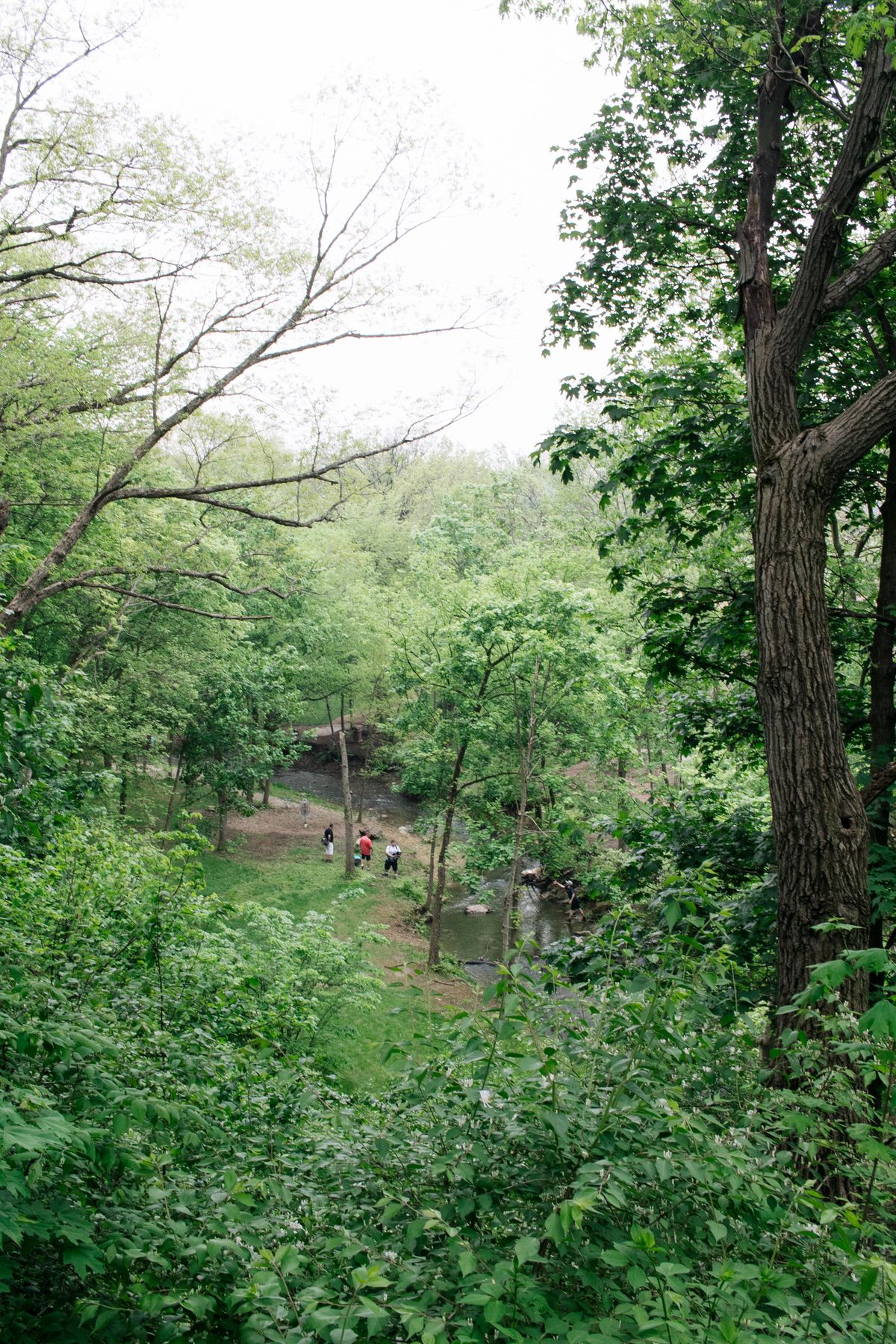 Hole 6D