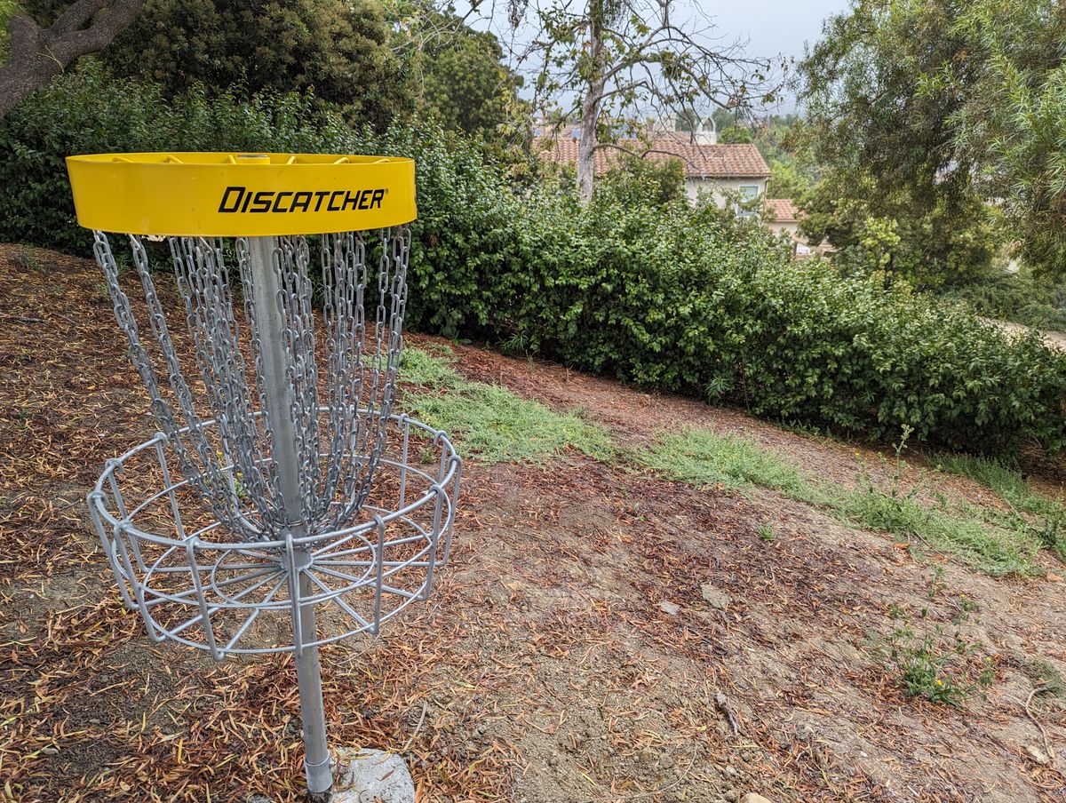 Lost a putter in this shrub...
Doomsday Bleak in white.