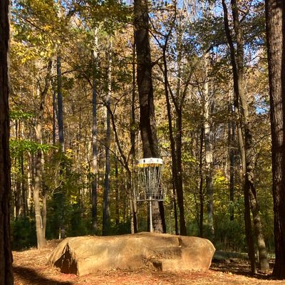 Hole 17 Basket