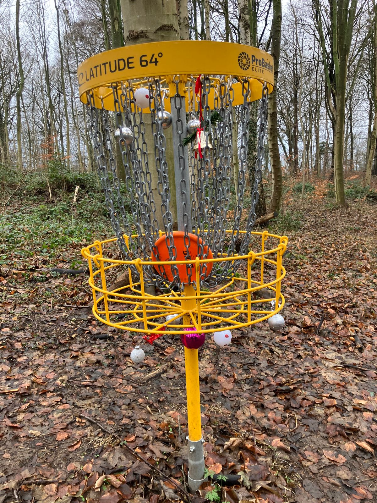 Christmas vibes…
