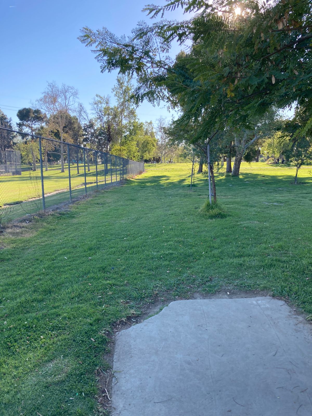 Old Hole #25