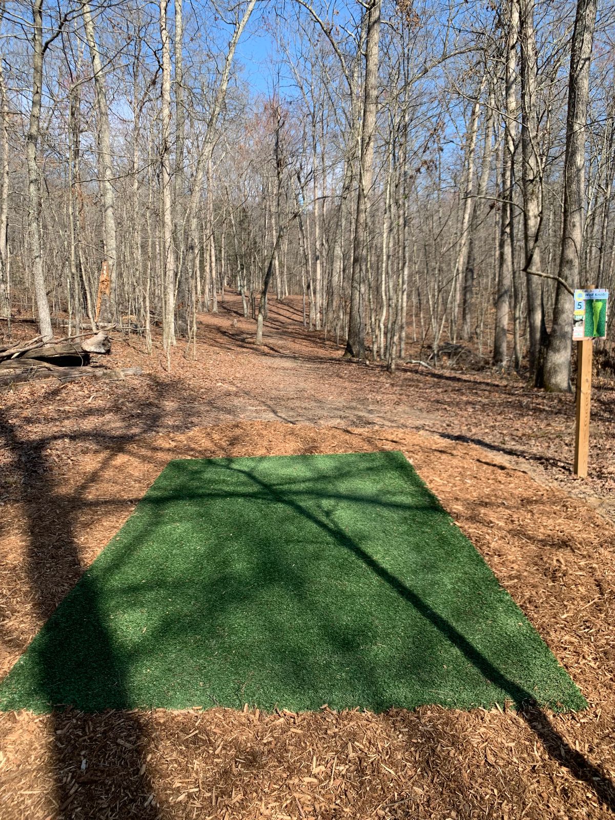 Hole #5, Par 3, 288 ft