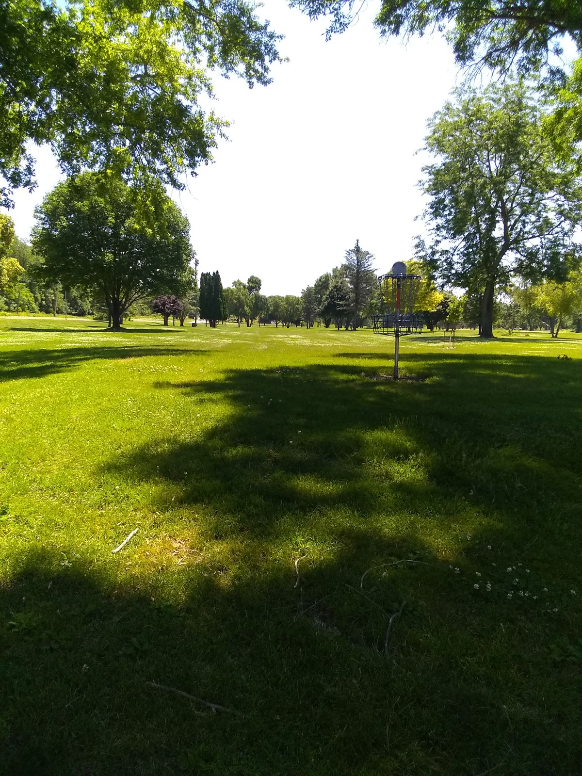 Looking back at 17 from basket to tee box