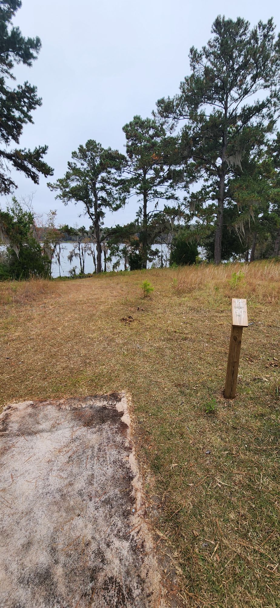 Hole 14 tee