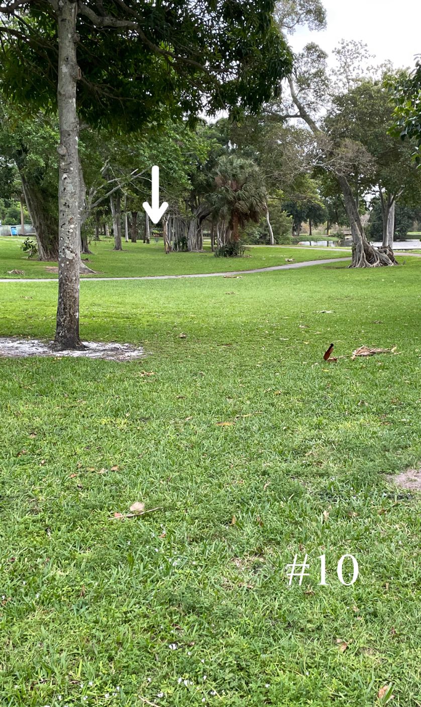 Hole 10, Long Tee