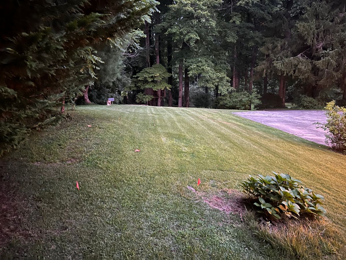 Hole 8 tee pad. Avoid the driveway and log over the logs on creeks edge they’re both OB!