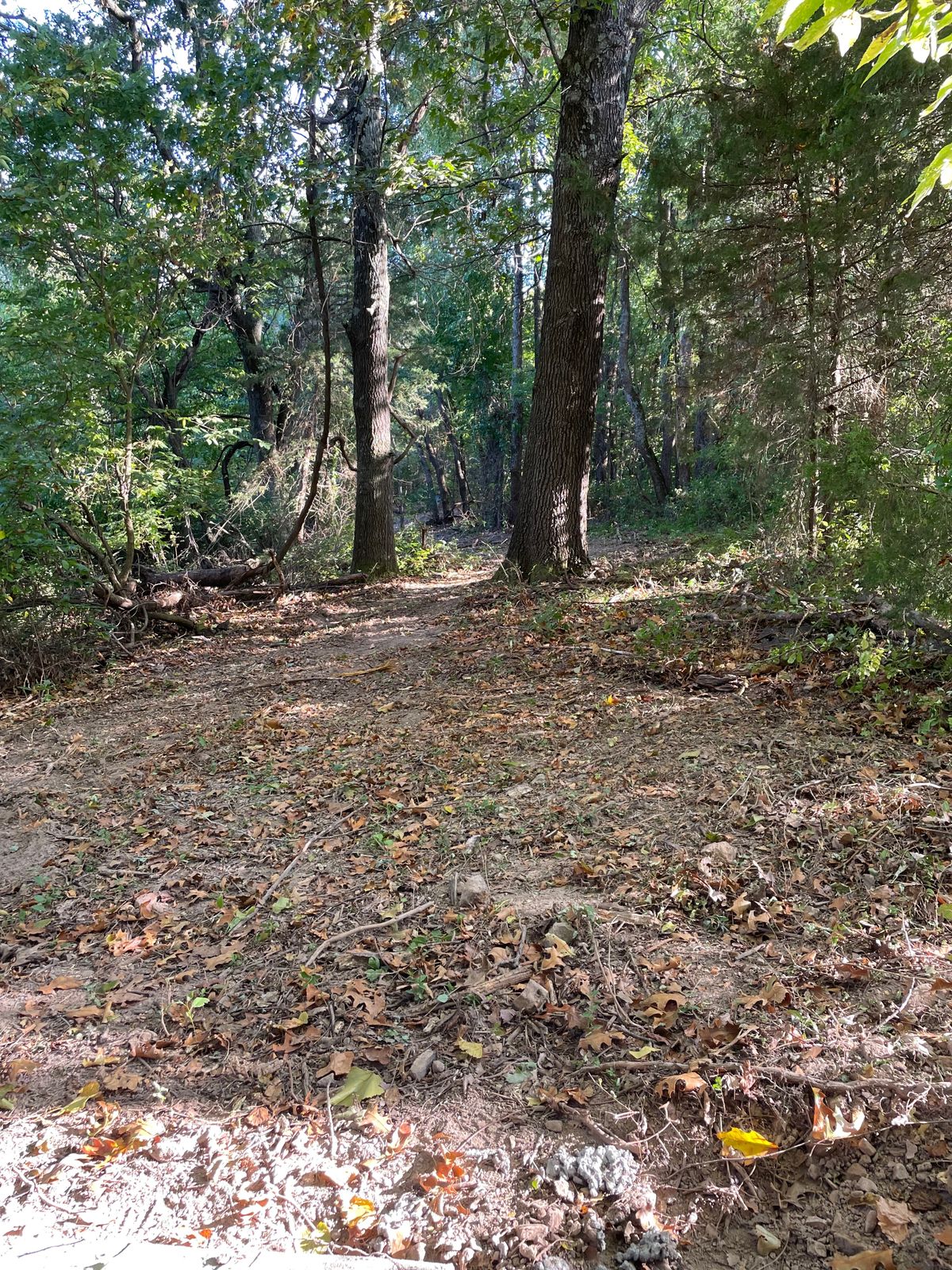 Hole 13
