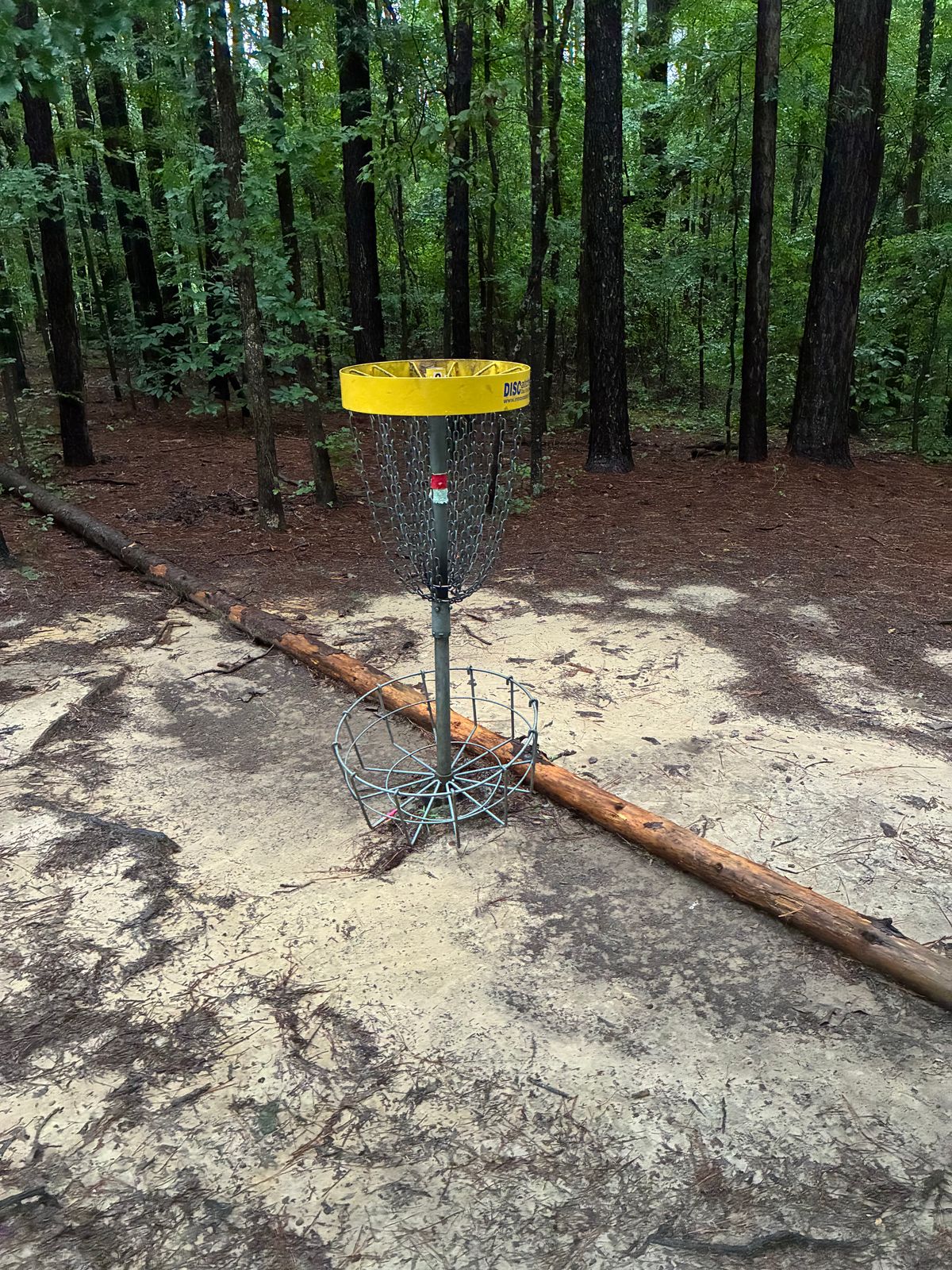 As of 06Aug25: tree took out the hole 1 yellow topped basket, used for the red and white tees.