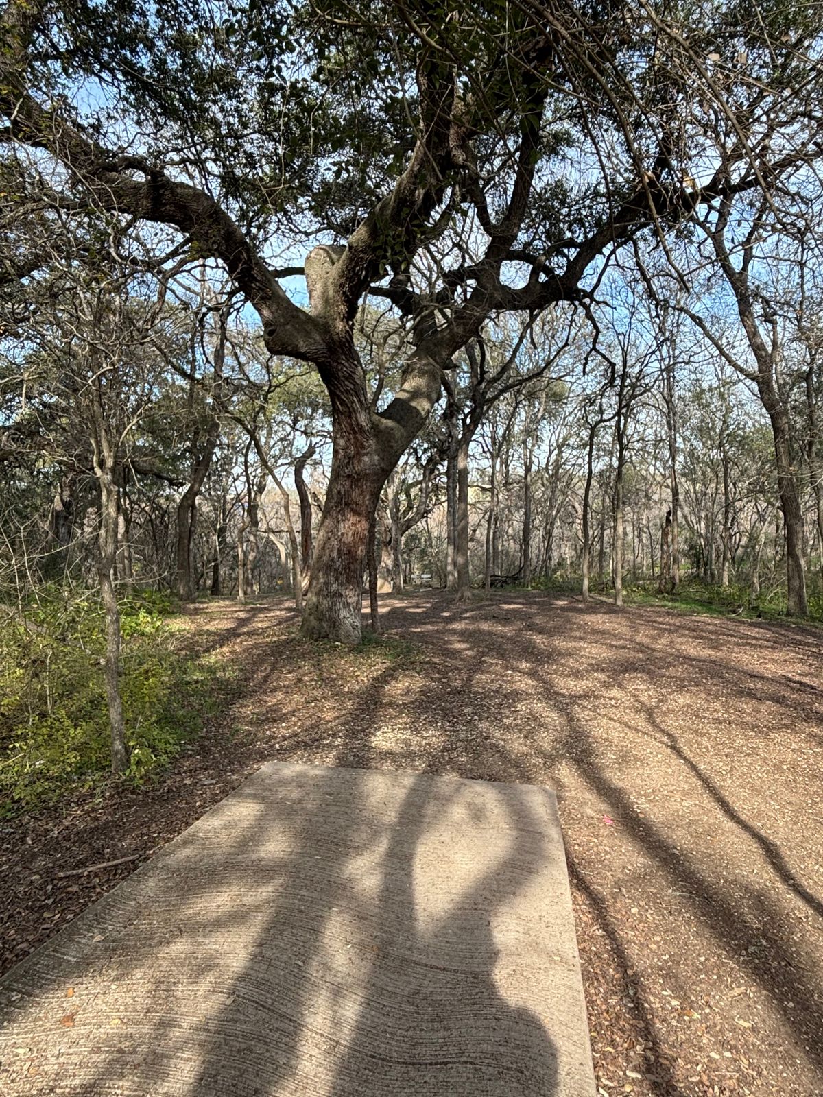 Hole 5 Teepad