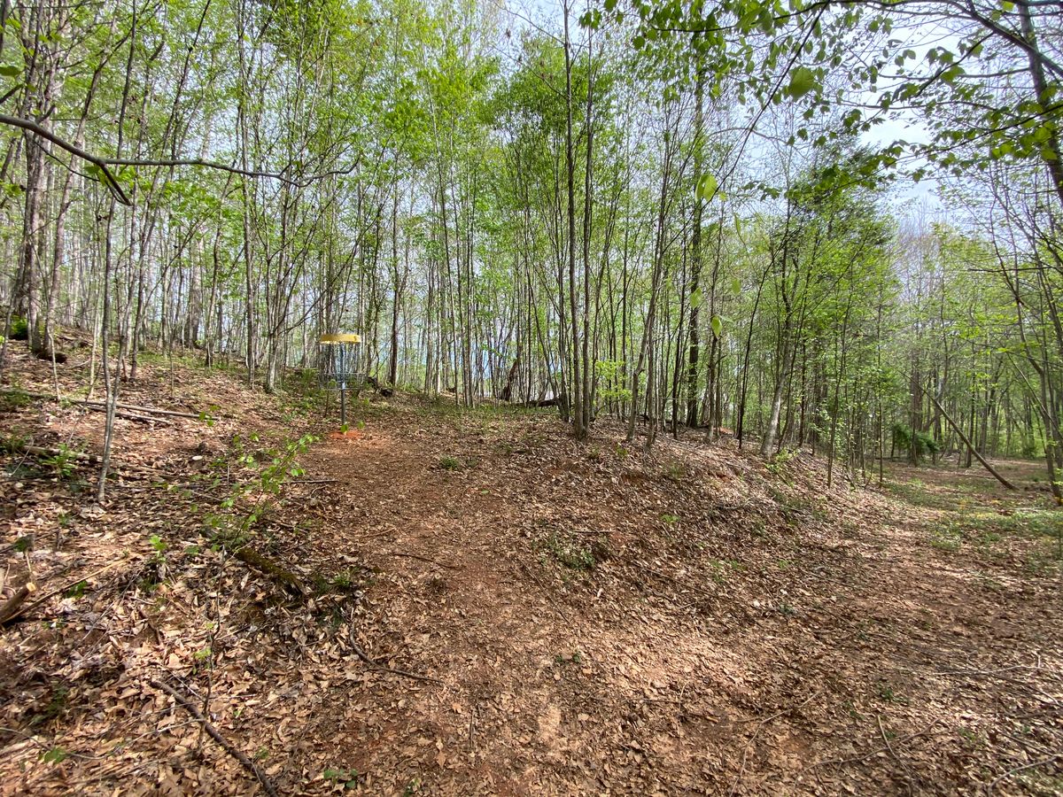 Hole 5 green facing tee.