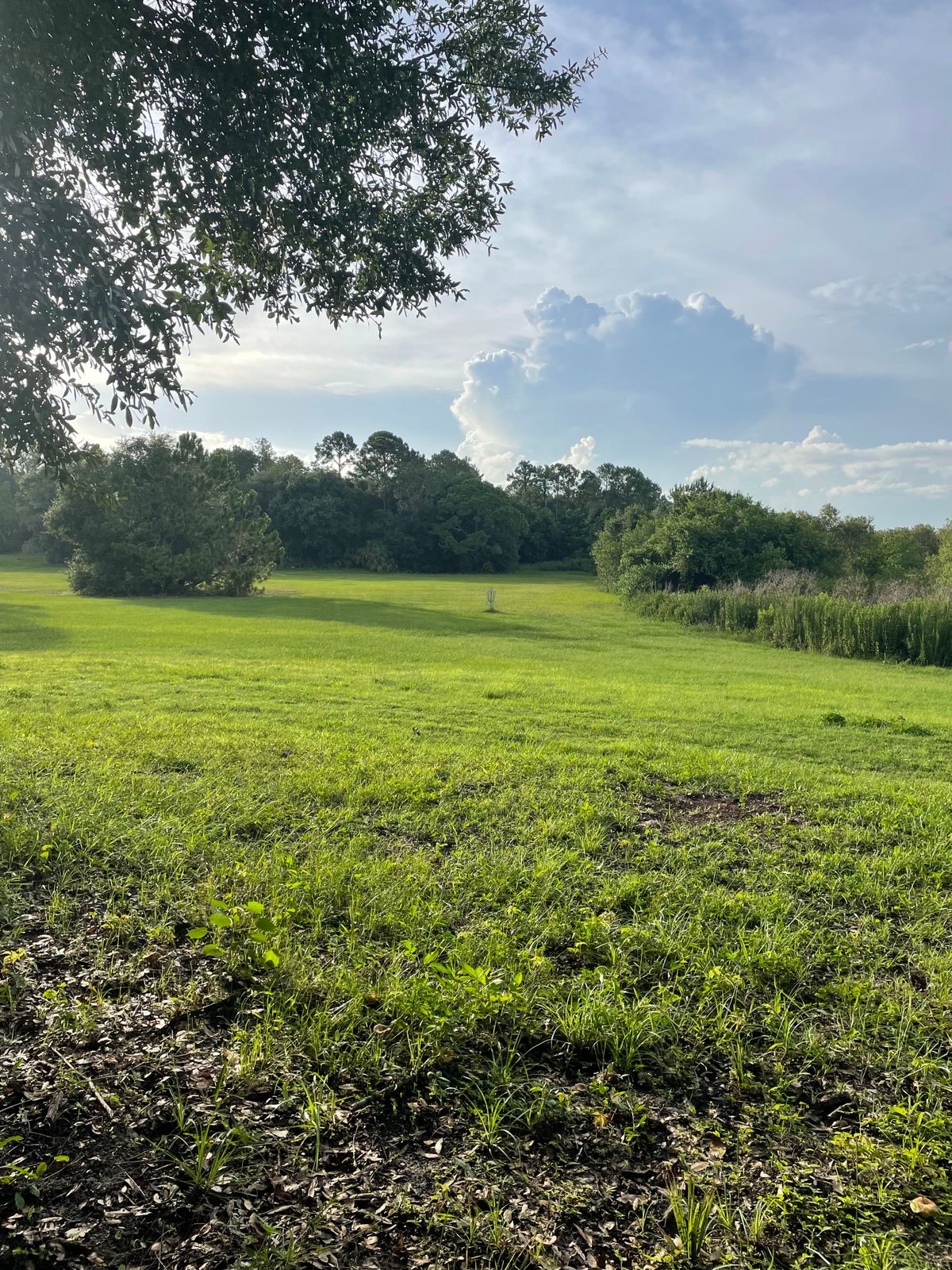 Hole 15