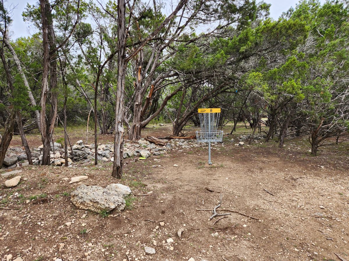 Open finish on #8