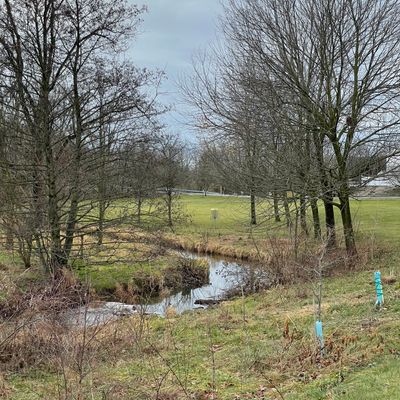 Course photo