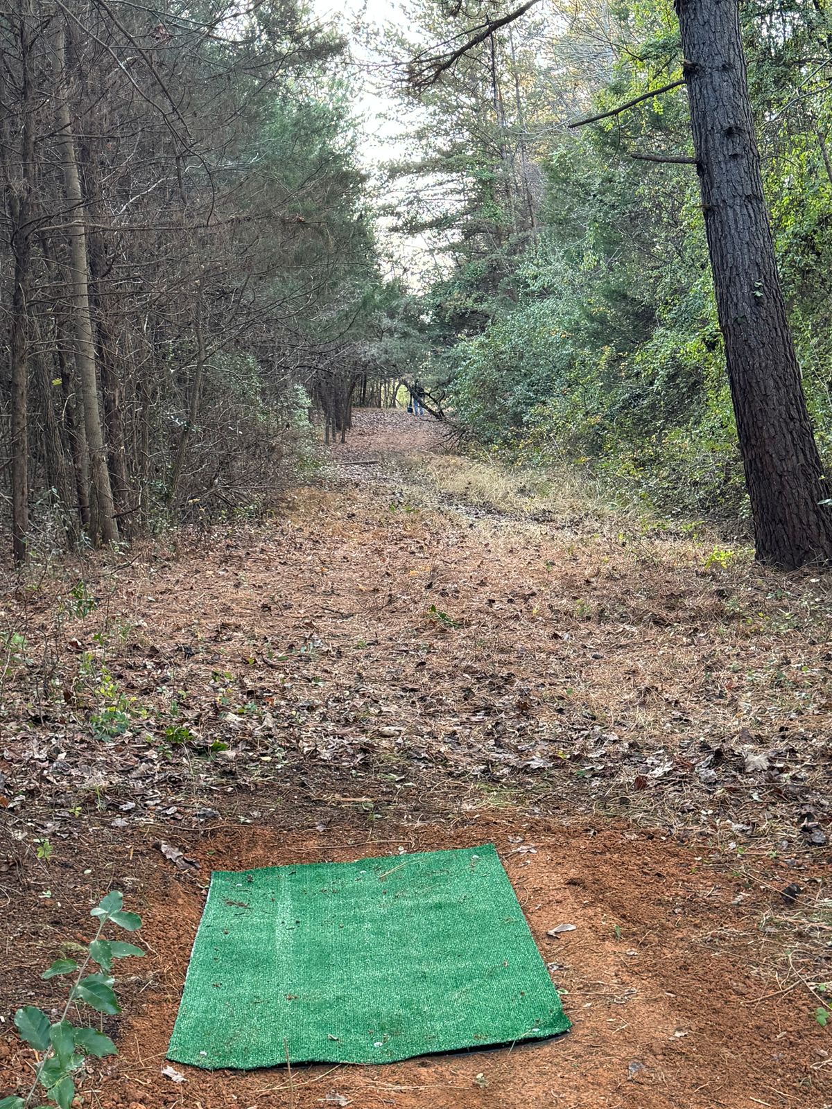 Hole 18 Long