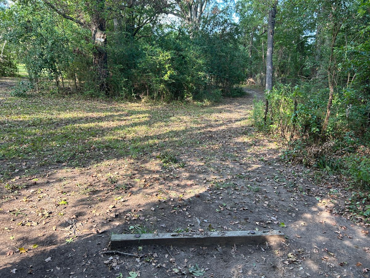 Hole 4 Fairway