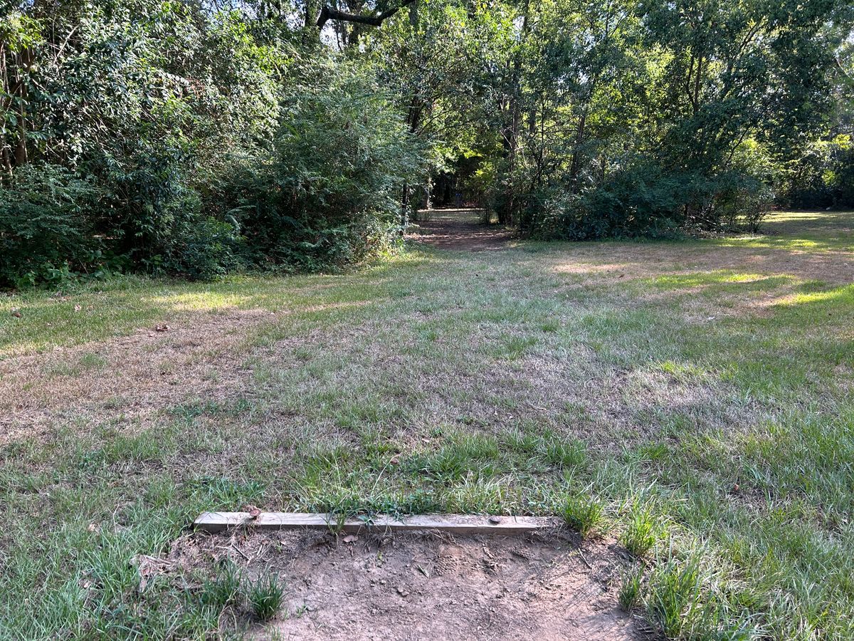 Hole 3 Fairway