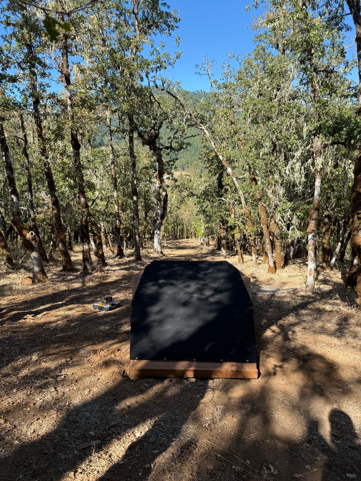 Hole 12 new view with tee pad .