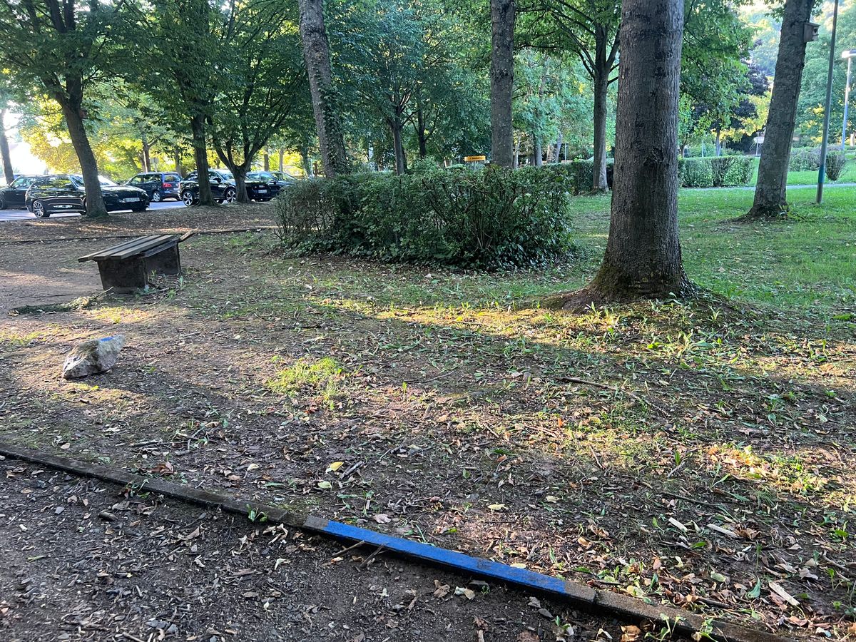Hole 5 Tee