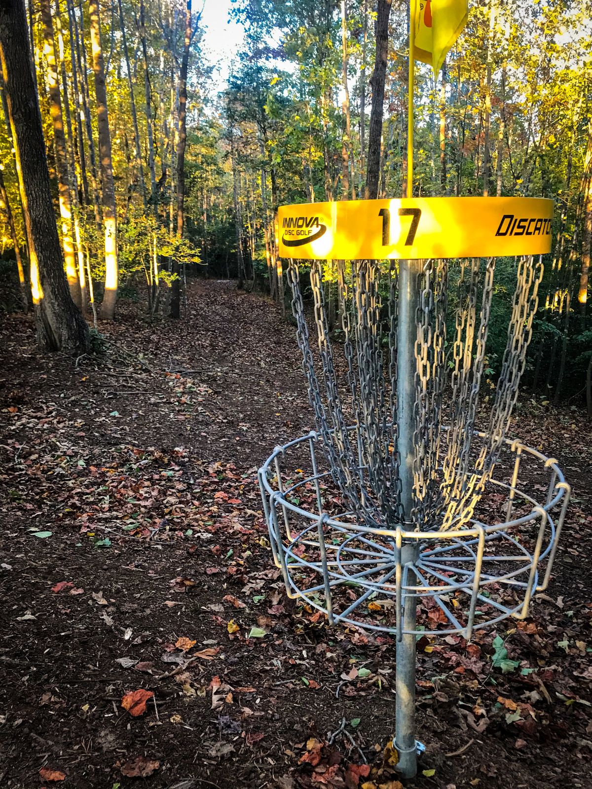Hole 17 basket on a fall day