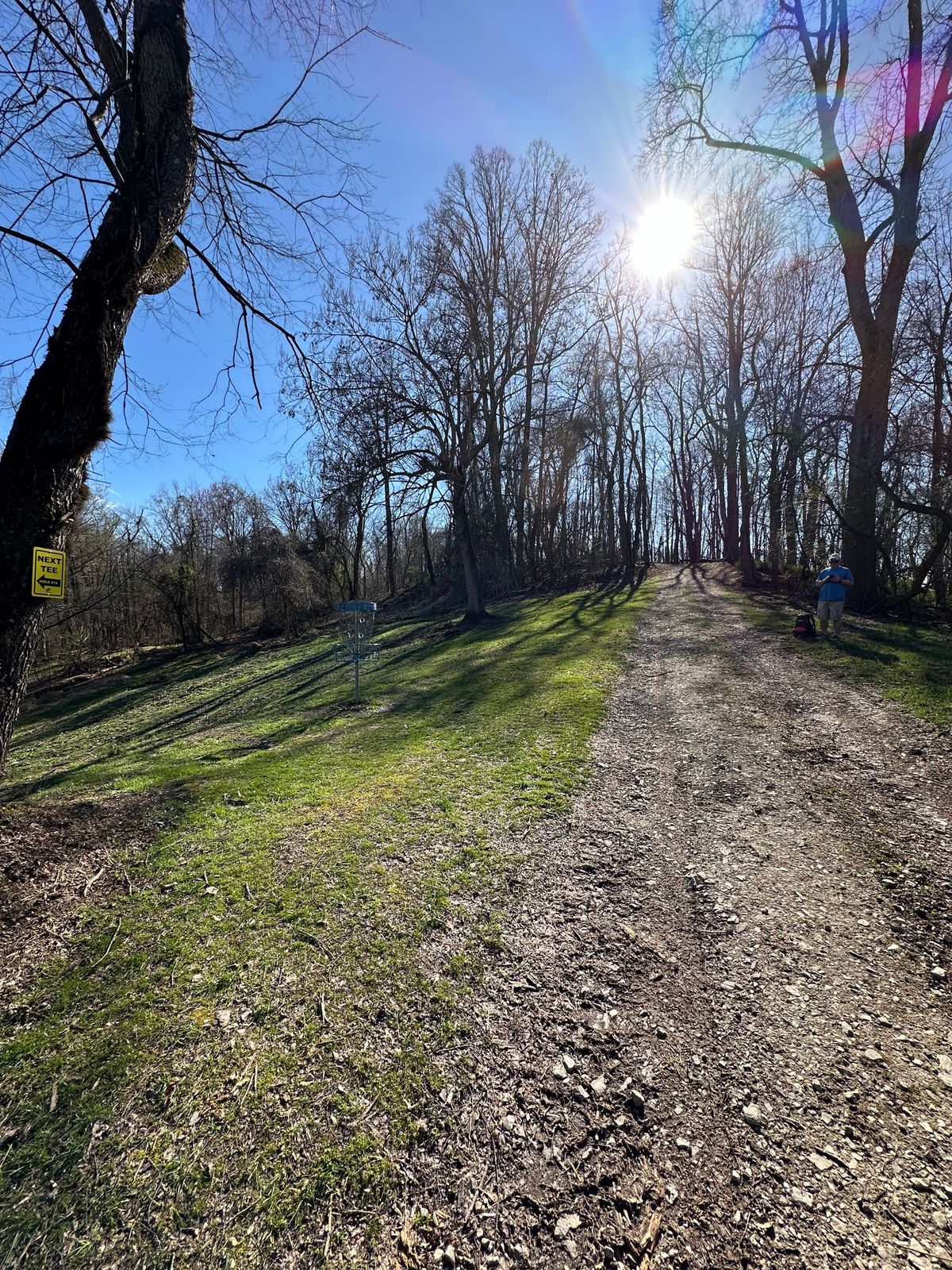 Hole 13 Basket in the Sun