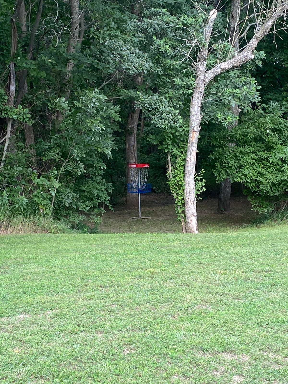 Look into basket hole #14 A