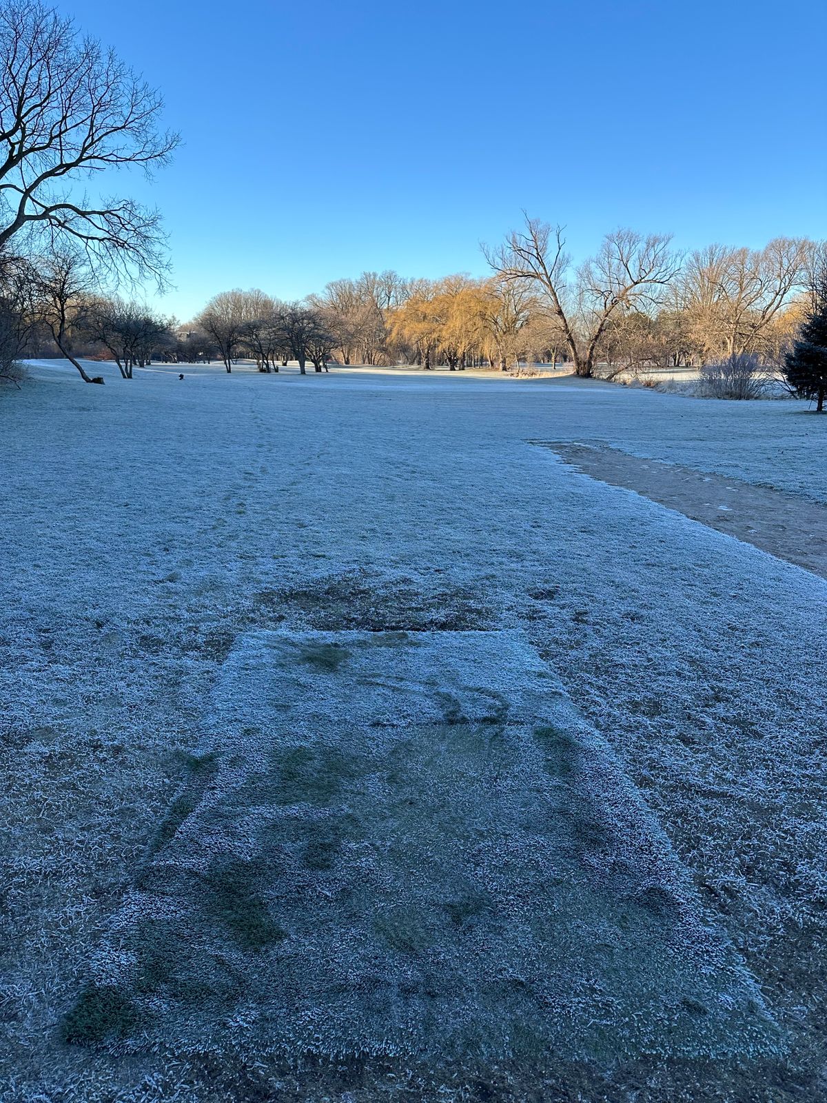 Beautiful frosty morning!