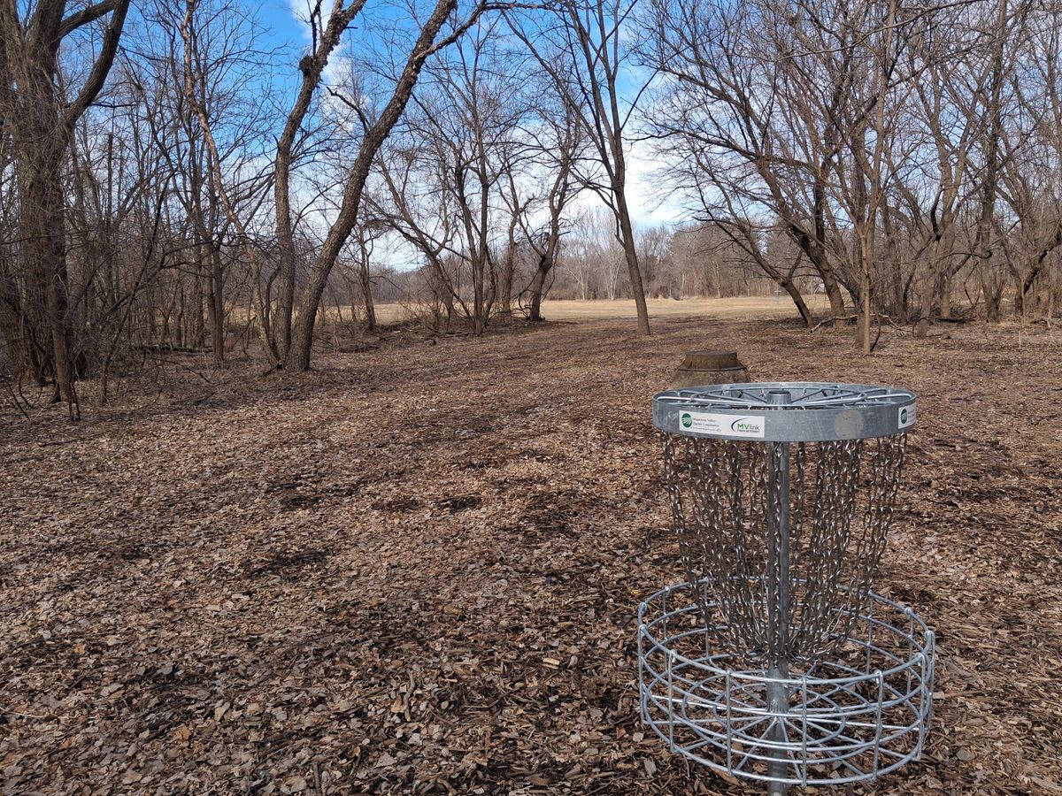 Hole 6 basket