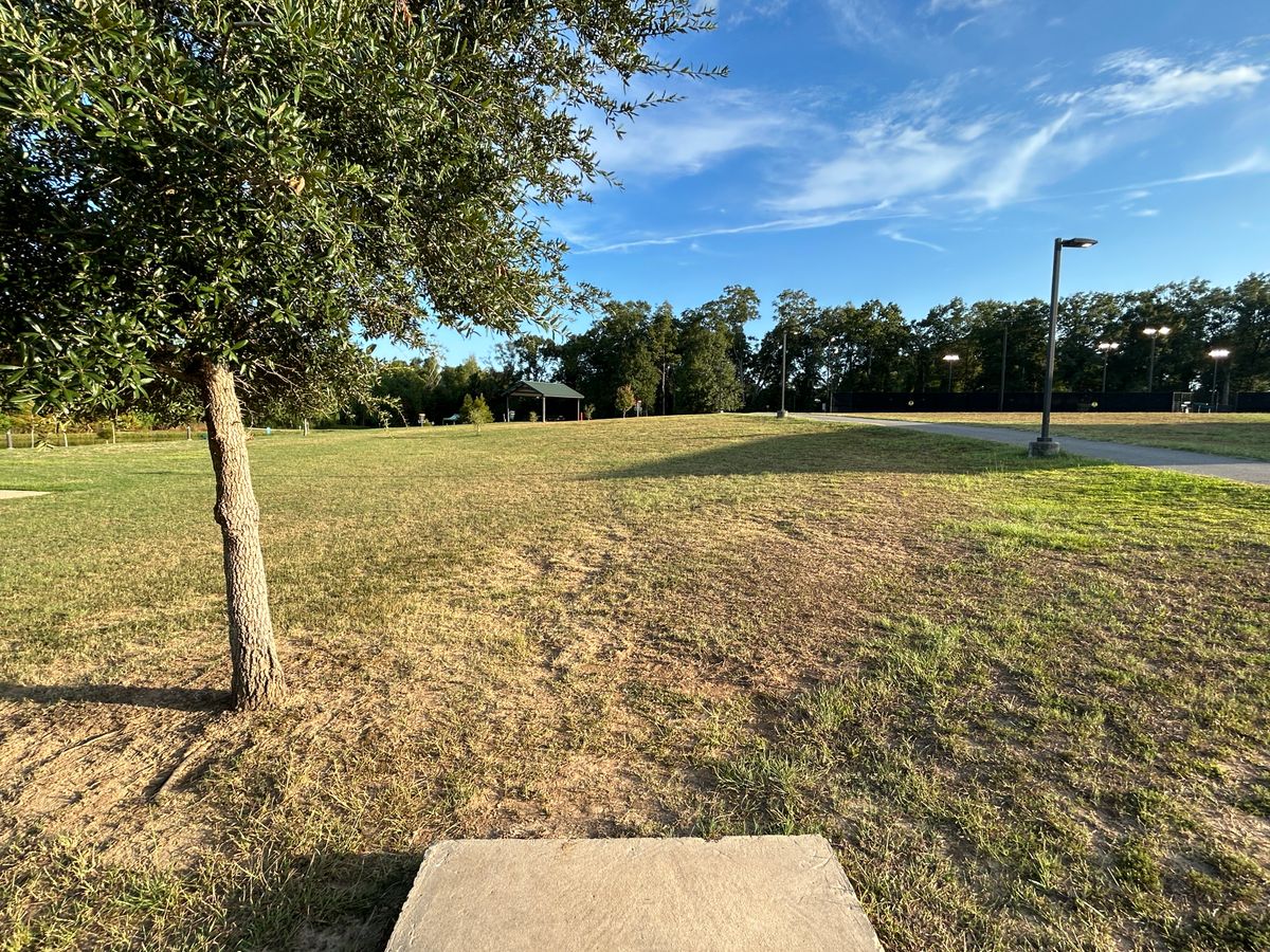 Hole 15 Fairway (Red)