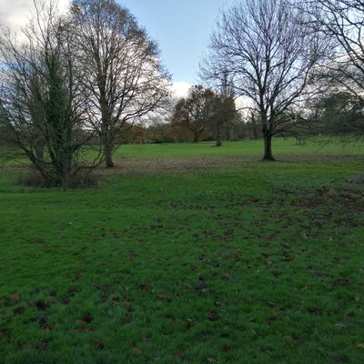 Hole 7