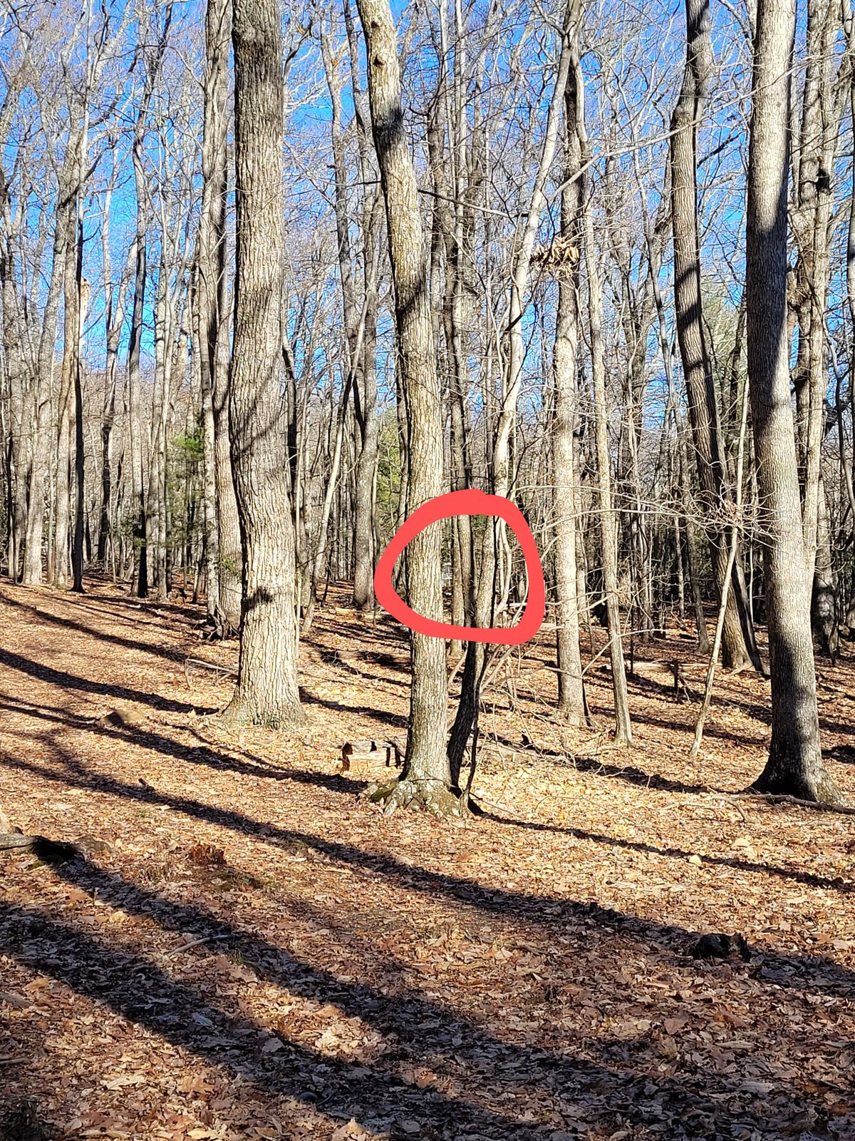 Hole #8 from pad