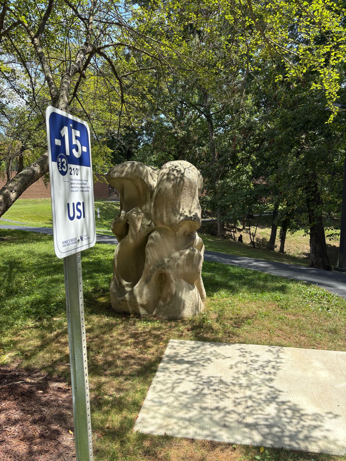 Hole 15 - signage facing toward basket