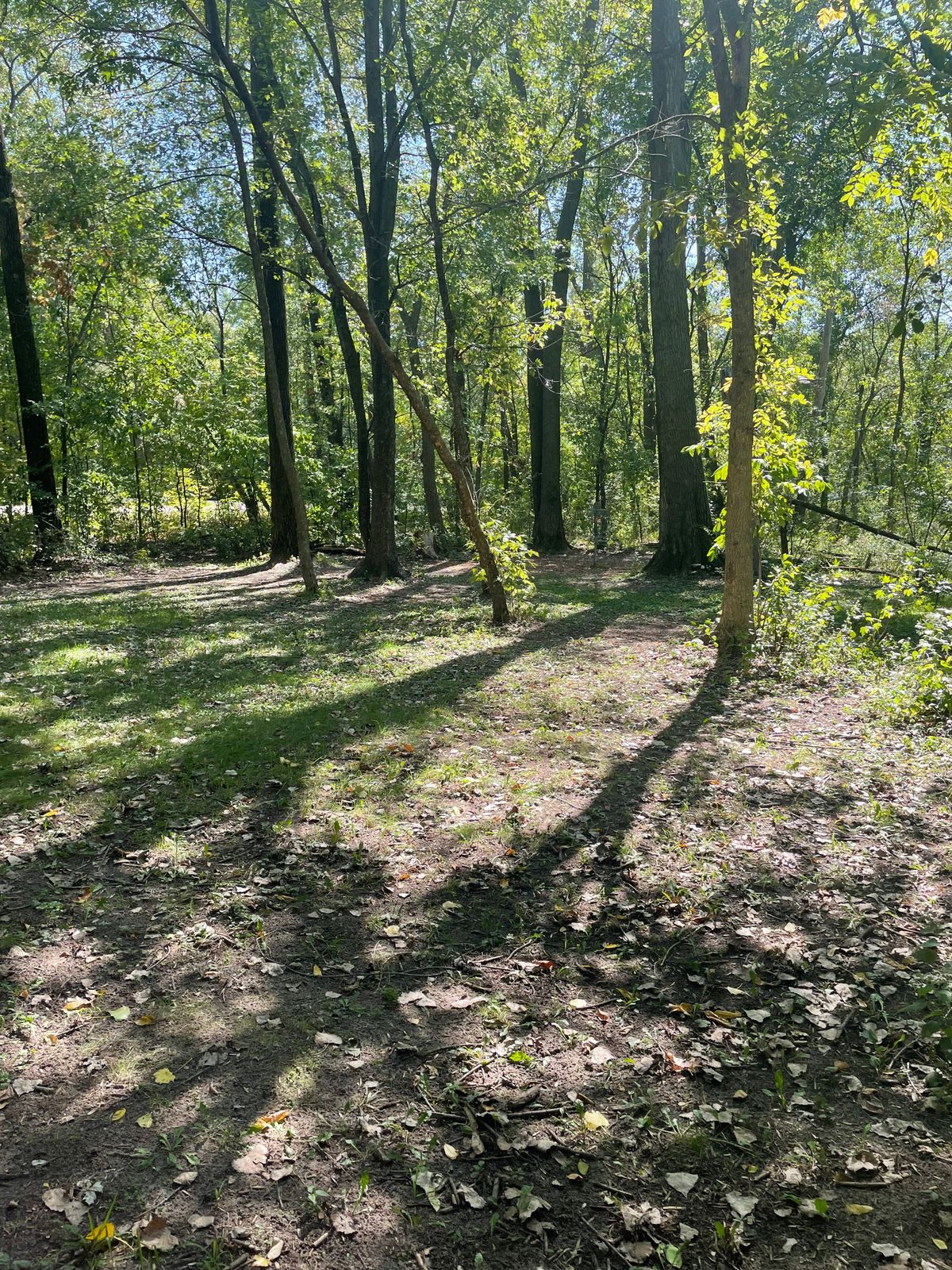 Hole 17 fairway