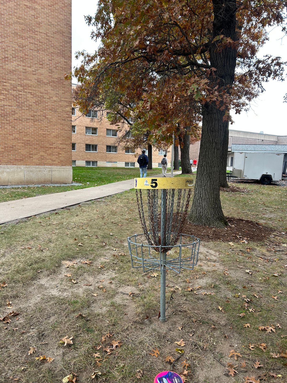 Hole 5 basket - watch out for pedestrians