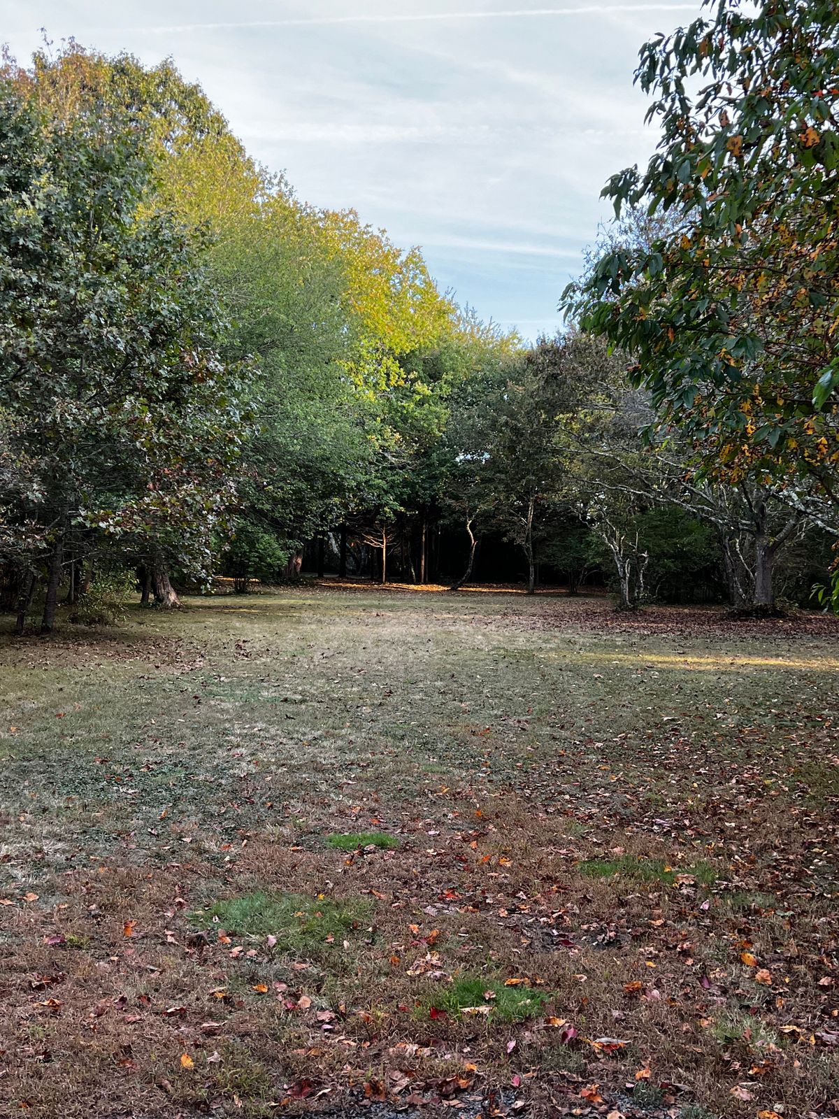 Hole 14 White