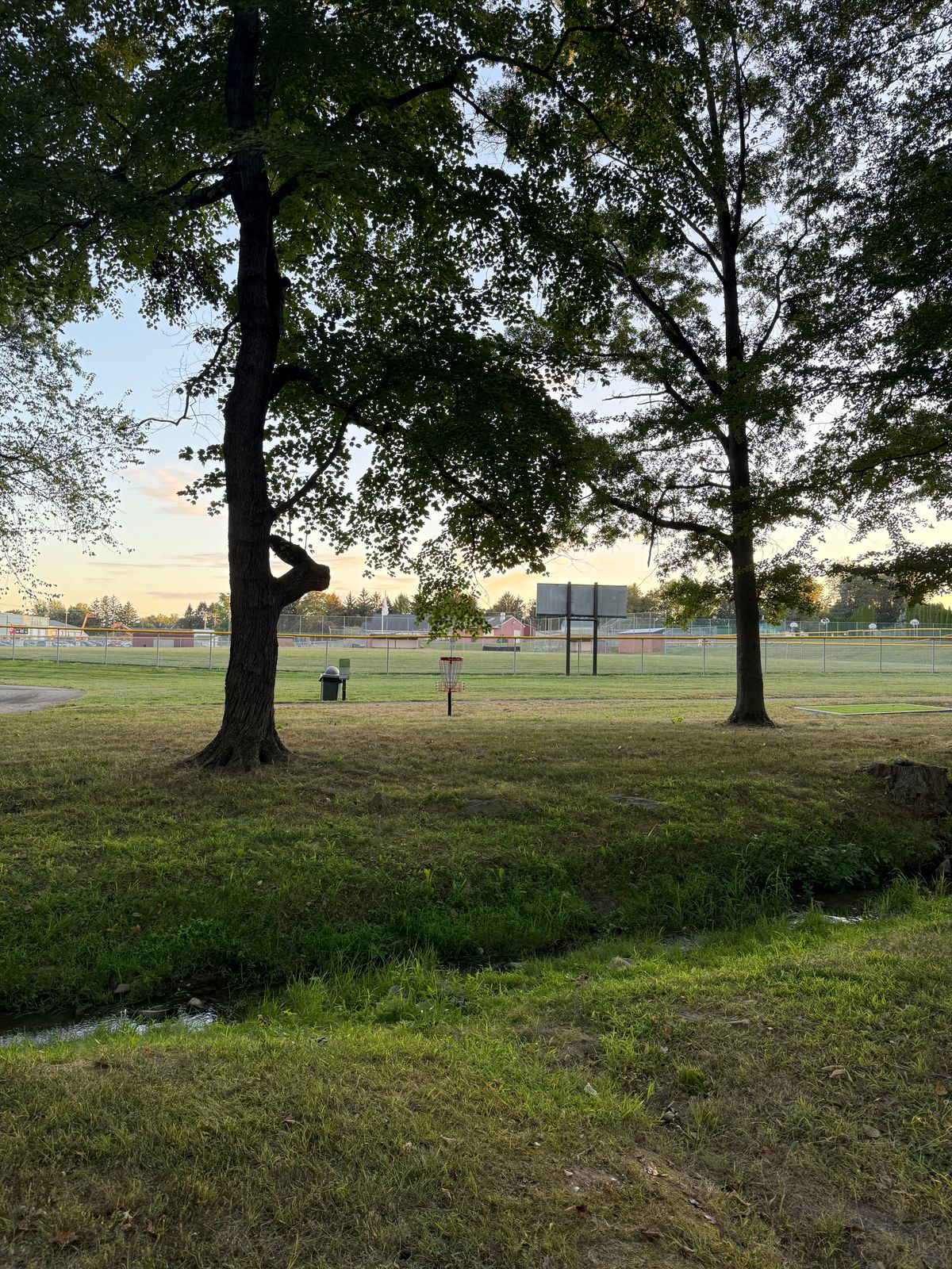 Hole 9 Basket