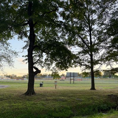 Hole 9 Basket
