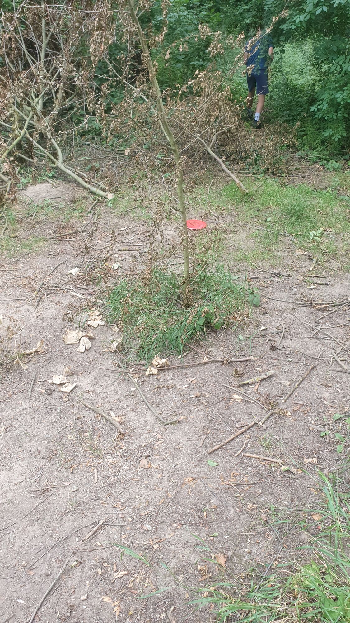 Chybí jamka ( koš) c 5.!!!