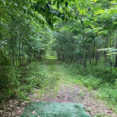 The view from the tee pad on hole 1