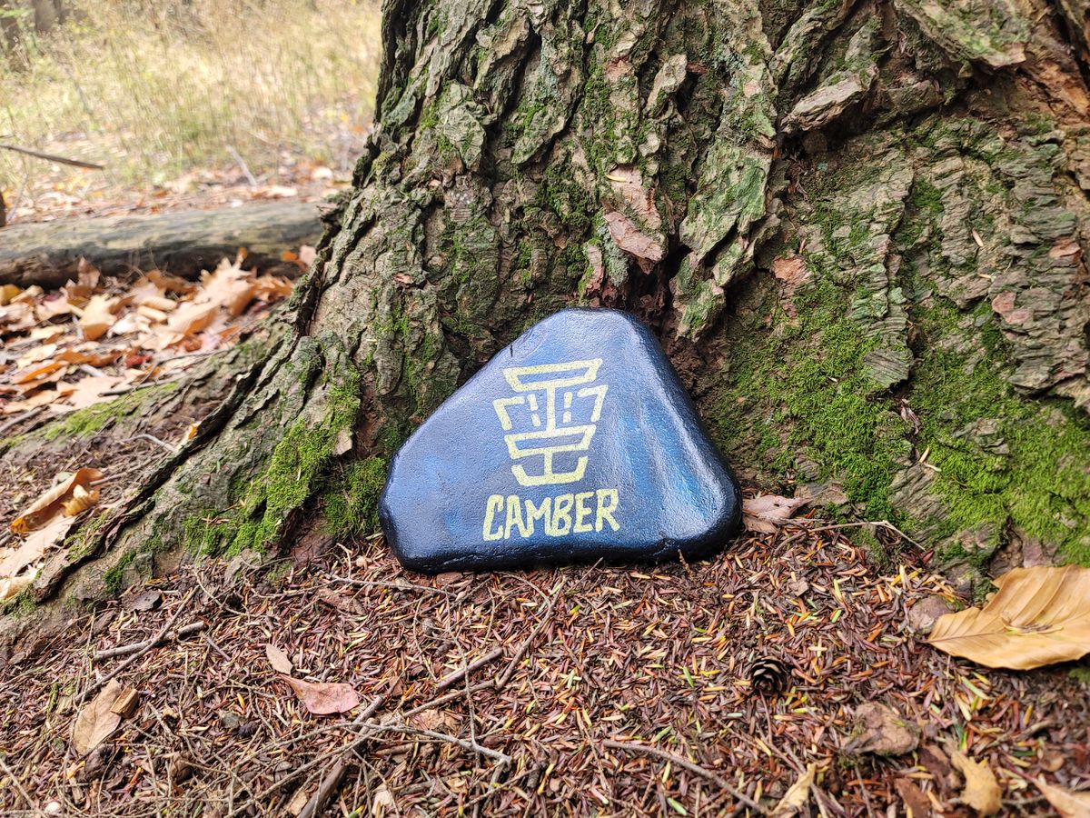 Hole 6 - Camber Disc Golf