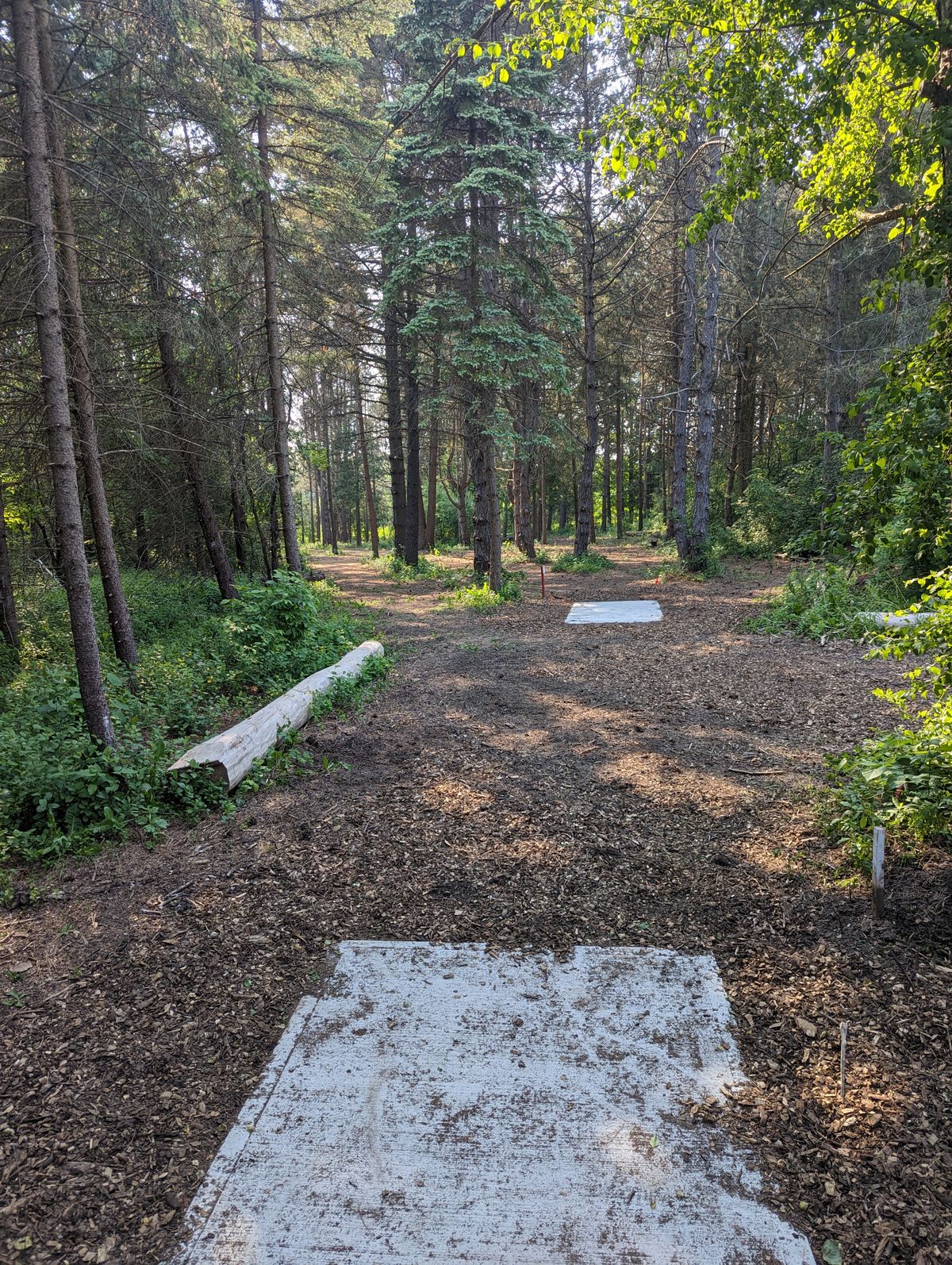 Hole 11