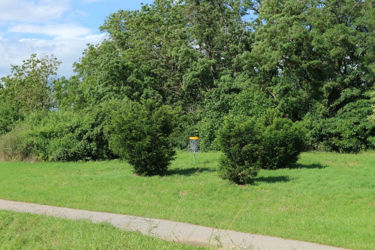 Basket from hole 3