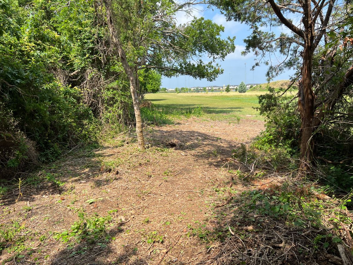 Hole 15 tee
