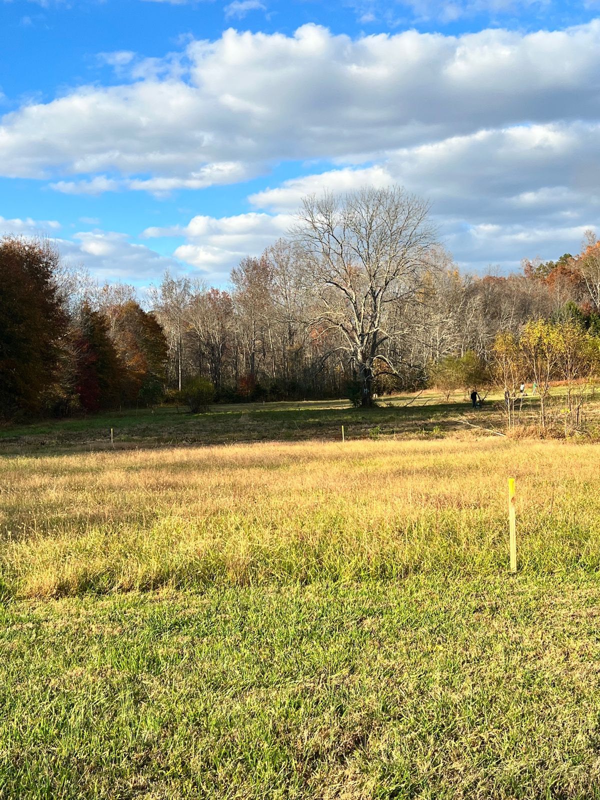 Hole 2 green looking towards hole 3